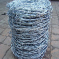 Electro Galvanized Barbed Wire